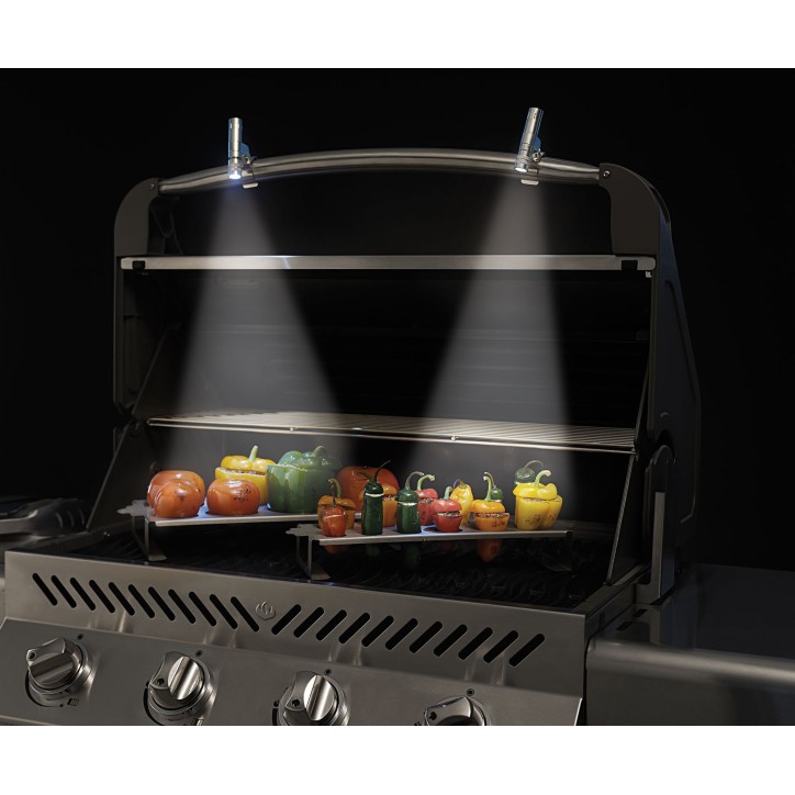 2 LED LIGHTS NAPOLEON 2 LED LIGHTS NAPOLEON