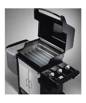 BARRES FLAVORIZER EN ACIER INOXYDABLE POUR SPIRIT E-310 WEBER