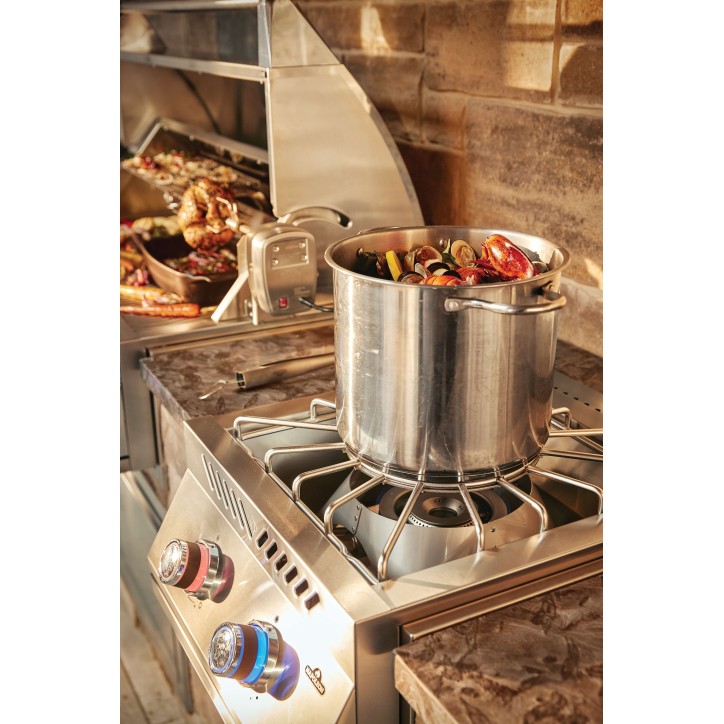 BUILT-IN 700 SERIES POWER BURNER NAPOLEON BUILT-IN 700 SERIES POWER BURNER NAPOLEON