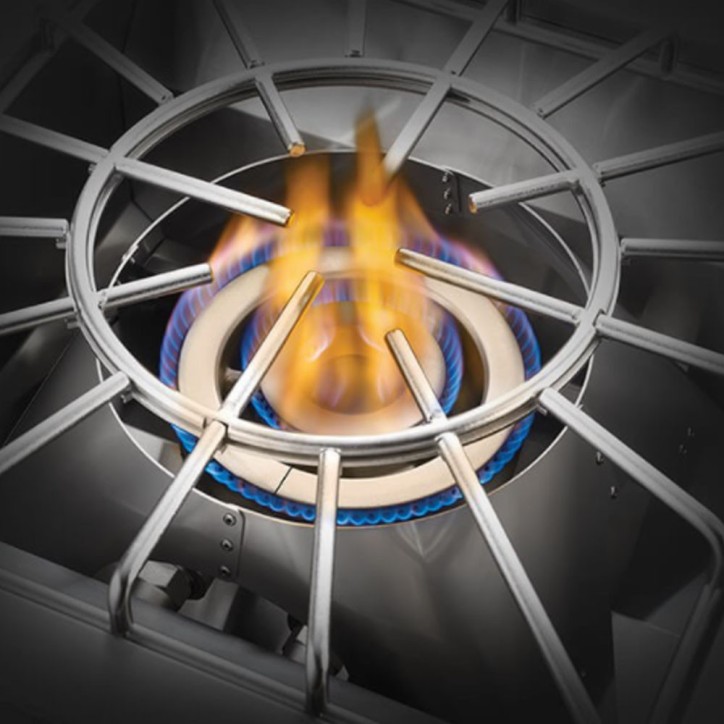 BUILT-IN 700 SERIES POWER BURNER NAPOLEON BUILT-IN 700 SERIES POWER BURNER NAPOLEON