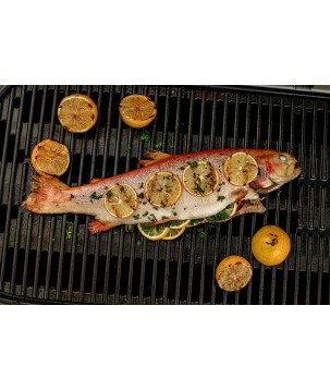 WEBER TRAVELER BLACK BARBECUE