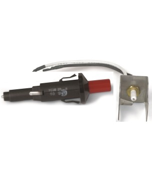 KIT PIEZOELÉCTRICO + ELECTRODO PARA Q100,1000, 200 Y 2000 