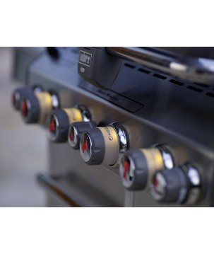 SUMMIT S-670 INOX + FUNDAWEBER