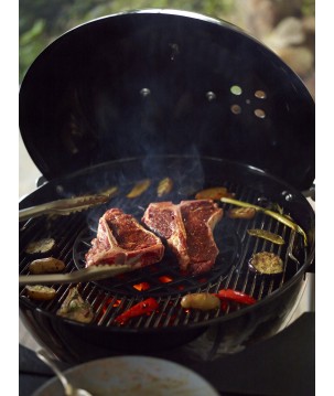 SUPPORT DE CUISSON POUR RÔTIS INOX  WEBER STYLE