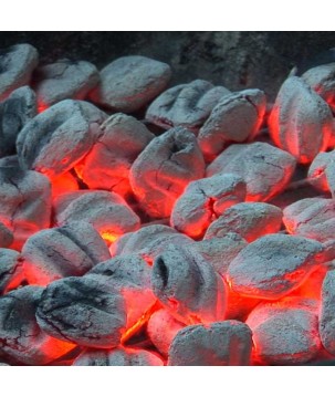 SAC DE 8 KG DE BRIQUETTES DE CHARBON PREMIUM