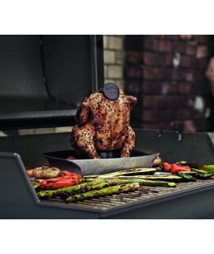SOPORTE PARA POLLOS WEBER STYLE