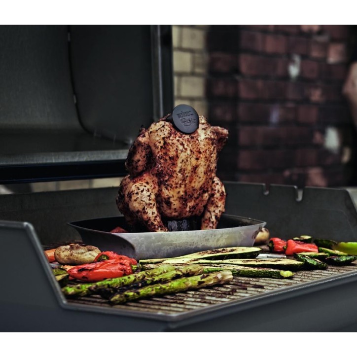SUPPORT DE CUISSON POUR POULET WEBER STYLE SUPPORT DE CUISSON POUR POULET WEBER STYLE