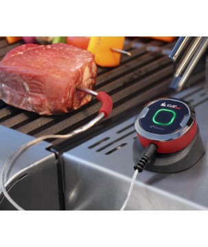 WEBER IGRILL MINI THERMOMETER