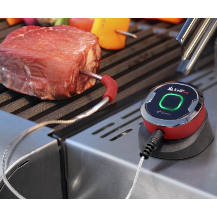 TERMÓMETRO WEBER IGRILL MINI TERMÓMETRO WEBER IGRILL MINI