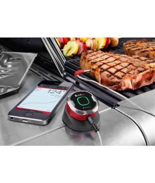 TERMOMETRO WEBER IGRILL MINI