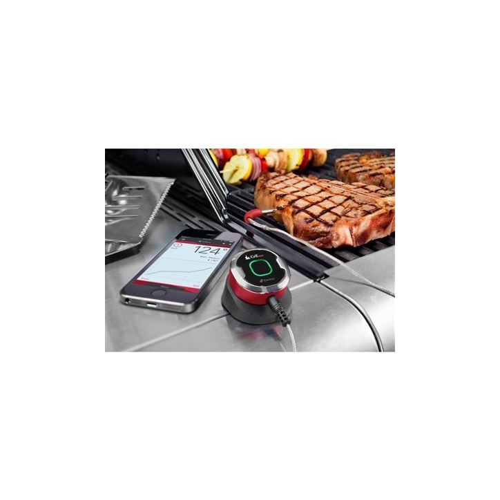 THERMOMÈTRE IGRILL MINI WEBER THERMOMÈTRE IGRILL MINI WEBER