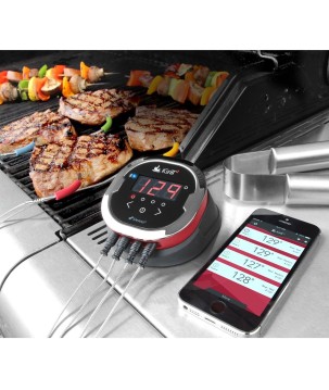 TERMOMETRO WEBER IGRILL 2