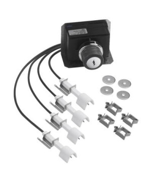 KIT PIEZOELECTRÓNICO + ELECTRODO PARA BARBACOAS GENESIS 330