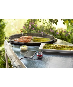 TERMOMETRO WEBER IGRILL MINI