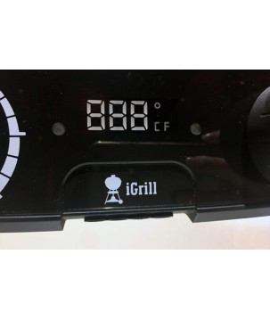 BARBACOA WEBER PULSE 1000