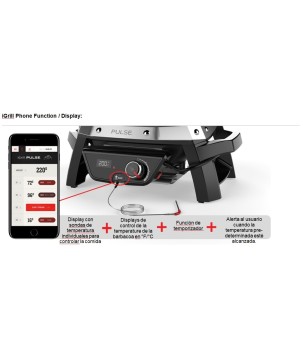 BARBACOA WEBER PULSE 1000