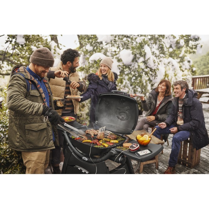 BARBACOA WEBER Q3200 BLACK BARBACOA WEBER Q3200 BLACK