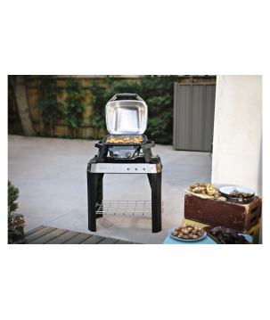 BARBECUE WEBER PULSE 1000 STAND