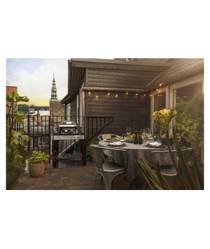 BARBECUE WEBER PULSE 1000 STAND