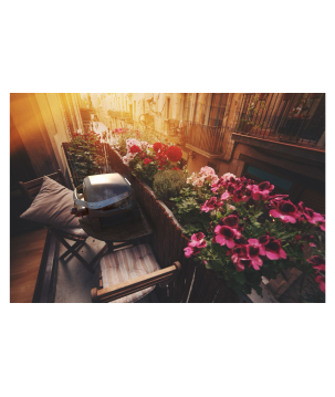 BARBACOA WEBER PULSE 1000