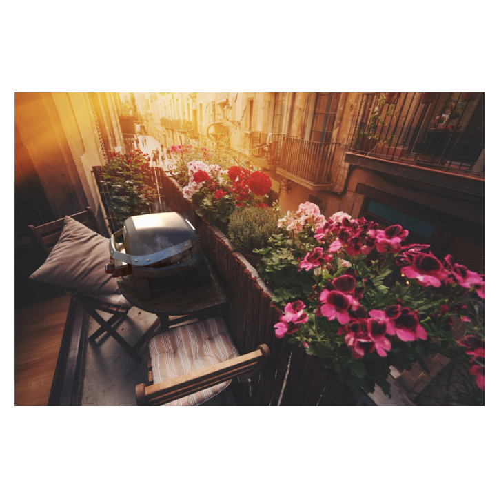 BARBACOA WEBER PULSE 1000 BARBACOA WEBER PULSE 1000