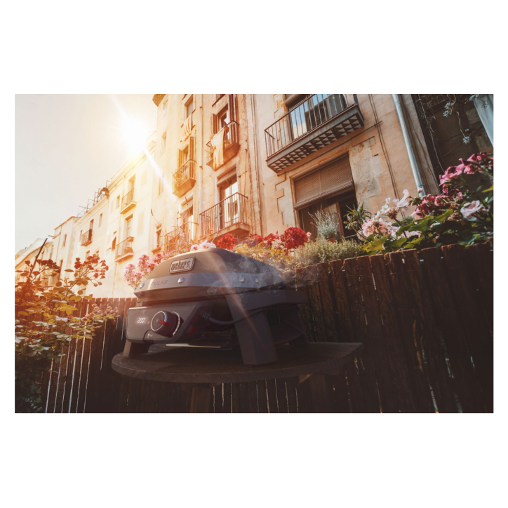 BARBACOA WEBER PULSE 1000 BARBACOA WEBER PULSE 1000