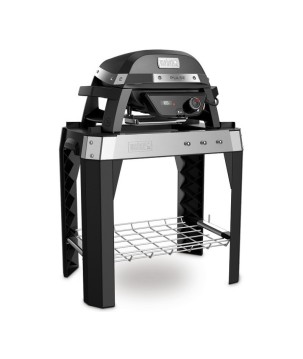 BARBECUE WEBER PULSE 1000 STAND