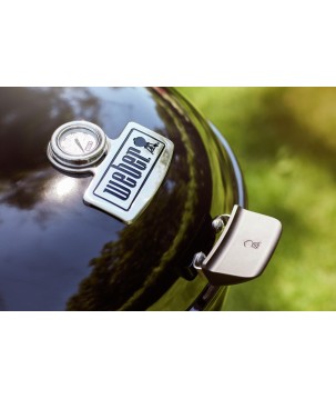 BARBACOA WEBER MASTER-TOUCH GBS PREMIUM E-5770 de 57cm