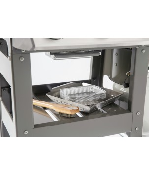 BARBACOA WEBER SPIRIT II E-310 GBS