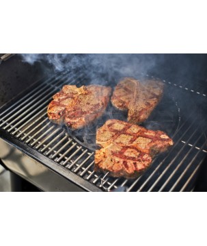 BARBECUE WEBER SMOKEFIRE EX4 GBS
