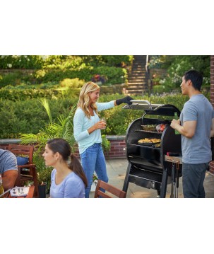 BARBACOA WEBER SMOKEFIRE EX4 GBS