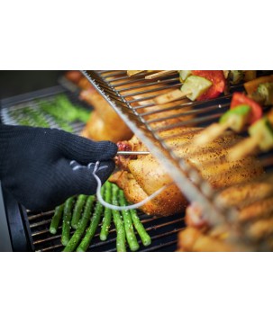 BARBECUE WEBER SMOKEFIRE EX4 GBS