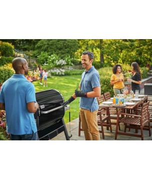 BARBACOA WEBER SMOKEFIRE EX6 GBS