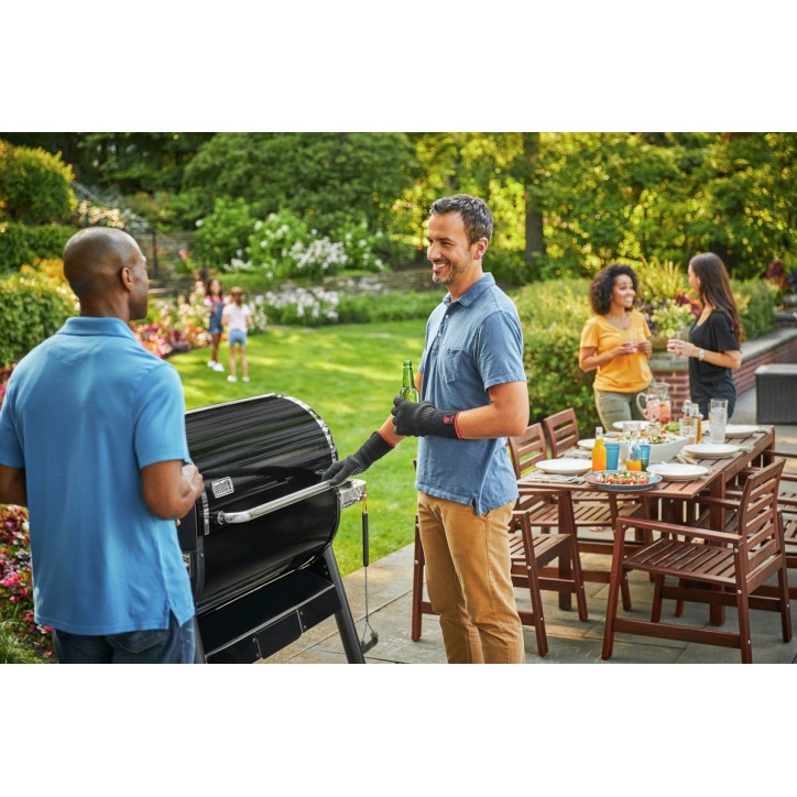 BARBECUE WEBER SMOKEFIRE EX6 GBS