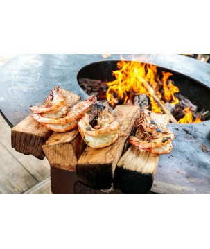 BARBACOA OFYR TRAILER O-T-01