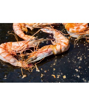  LIVRE DE RECETTES OFYR (NÉERLANDAIS / FRANÇAIS)