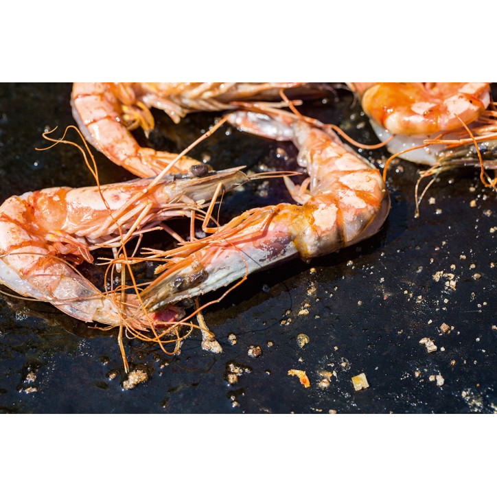 LIVRE DE RECETTES OFYR (NÉERLANDAIS / FRANÇAIS) LIVRE DE RECETTES OFYR (NÉERLANDAIS / FRANÇAIS)