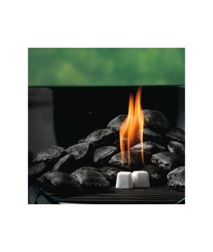 PACK DE 22 PASTILLAS DE ENCENDIDO BLANCAS WEBER