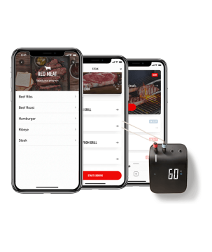 WEBER CONNECT SMART GRILLING HUB