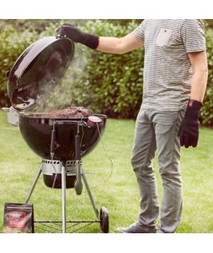 SUPPORT POUR iGRILL WEBER
