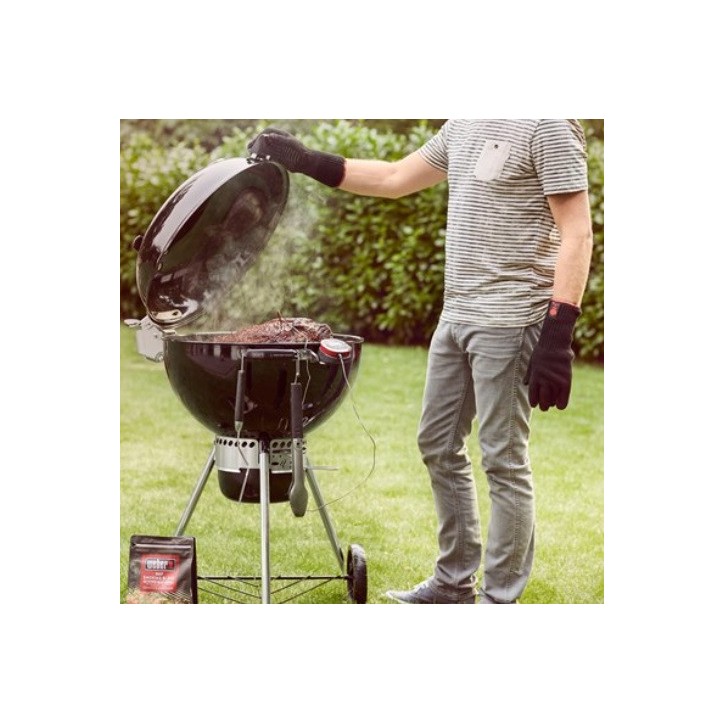 SOPORTE PARA iGRILL WEBER