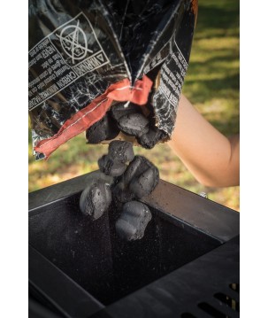 BARBECUE / FUMOIR GRAVITY SERIES 560 MASTERBUILT (MCG560G)