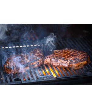 BARBECUE / FUMOIR GRAVITY SERIES 560 MASTERBUILT (MCG560G)