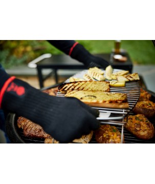 BARBACOA WEBER SUMMIT KAMADO E6