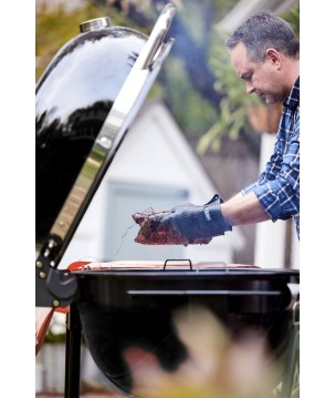 BARBACOA WEBER SUMMIT KAMADO S6