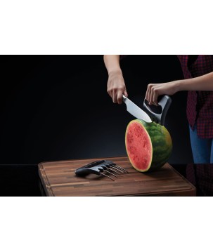 GRIFFES À EFFILOCHER POLYVALENTES NAPOLEON