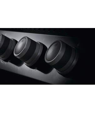 BARBACOA NAPOLEON ROGUE 425 CON QUEMADOR LATERAL, TRASERO INFRARROJO Y ASADOR NEGRA