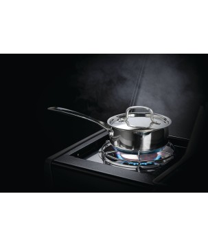 BARBACOA NAPOLEON ROGUE 425 CON QUEMADOR LATERAL, TRASERO INFRARROJO Y ASADOR NEGRA