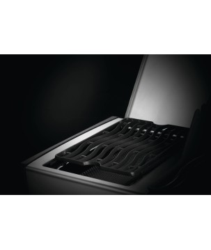 BARBECUE NAPOLEON ROGUE SE 525 WITH INFRARED SIDE AND REAR BURNERS BLACK