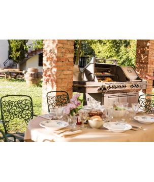 BARBACOA NAPOLEON PRESTIGE PRO 825 CON QUEMADOR LATERAL DE POTENCIA, QUEMADORES INFERIORES Y TRASEROS INFRARROJOS INOX